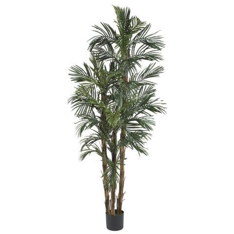 6 Ft Robellini Palm Silk Tree