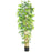 7 Ft Multi Bambusa Bamboo Silk Tree