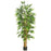 6 Ft Belly Bamboo Silk Tree