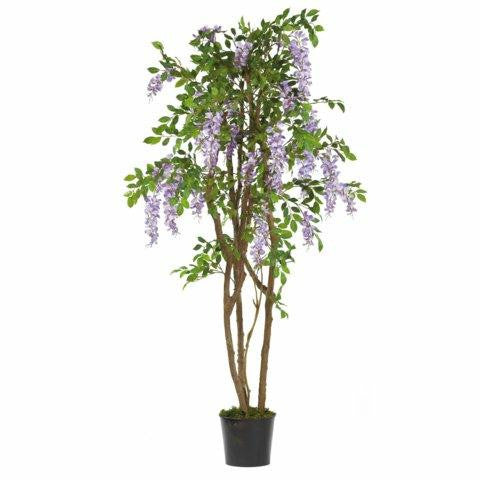 Purple 5 Ft Wisteria Silk Tree