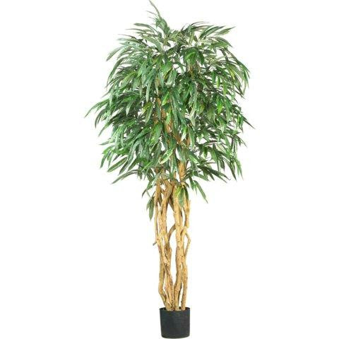 6 Ft Weeping Ficus Silk Tree