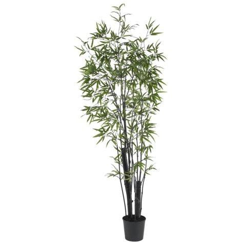 6 Ft Black Bamboo Silk Tree (2 Thick Trunks)