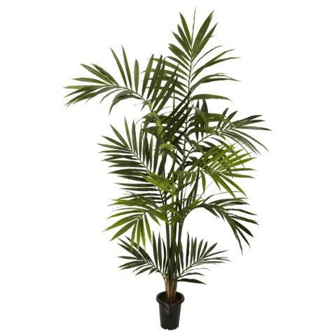 6 Ft Kenitia Palm Silk Tree