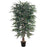 5 Ft Weeping Ficus Silk Tree