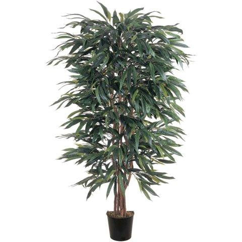 5 Ft Weeping Ficus Silk Tree