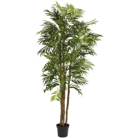 6 Ft Bella Palm Silk Tree