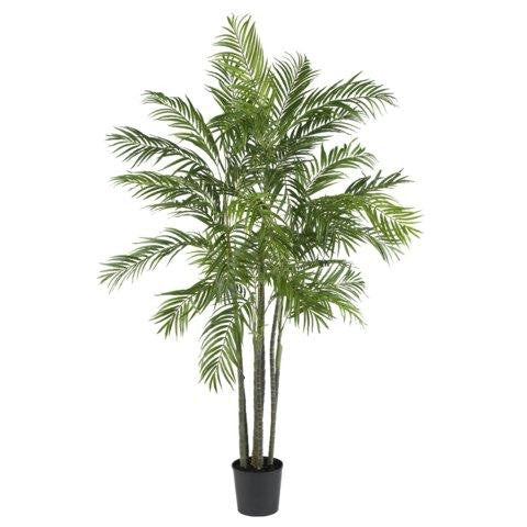 6 Ft Areca Palm Silk Tree