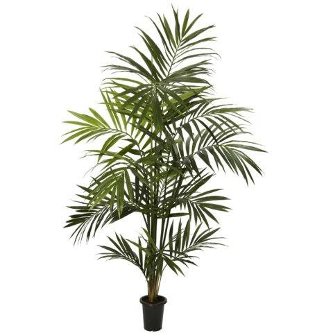 7 Ft Kentia Palm Silk Tree