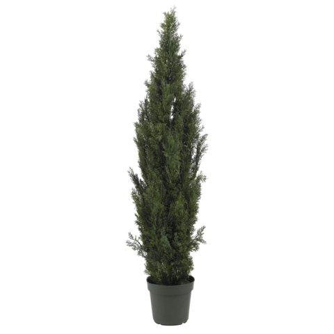 6 Ft Mini Cedar Pine Tree (Indoor-Outdoor)