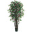 6 Ft Bougainvillea Silk Tree