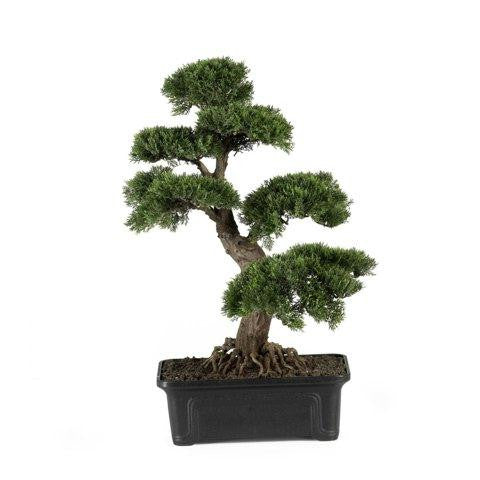 Cedar Bonsai 24 Inch Silk Plant