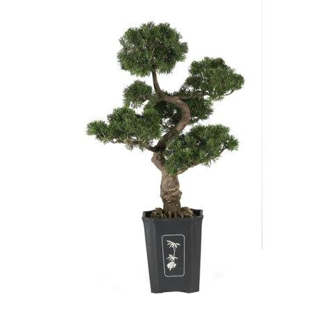 Cedar Bonsai 36 Inch Silk Plant