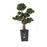 Cedar Bonsai 36 Inch Silk Plant