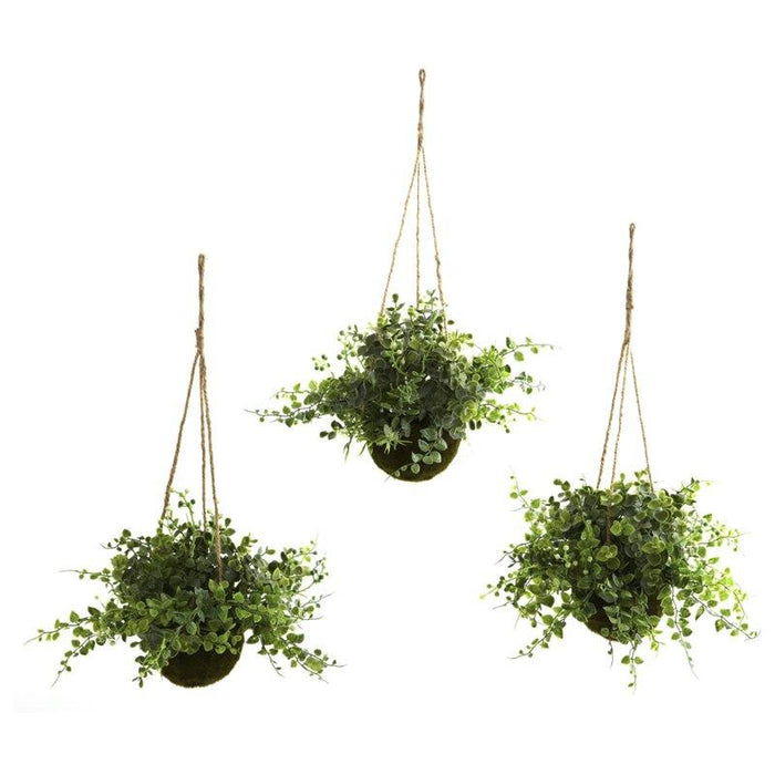 Eucalyptus Maiden Hair and Berry Hanging Basket (Set of 3)