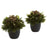 Pine and Berries w-Black Planter (Set of 2)