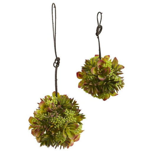 7 Inch and 5 Inch Mixed Succulent Spheres (Set of 2)