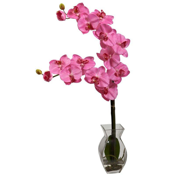 Dark Pink Phalaenopsis Orchid w-Vase Arrangement