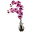 Mauve Phalaenopsis Orchid w-Vase Arrangement