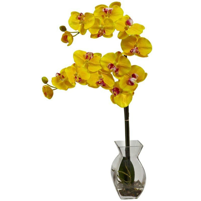 Yellow Phalaenopsis Orchid w-Vase Arrangement