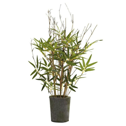 27 Inch Bamboo Tree w-Cement Pot