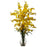 Yellow Dancing Lady Orchid w-Vase Arrangement