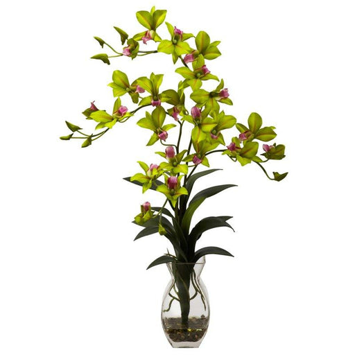 Green Dendrobium Orchid w-Vase Arrangement