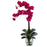 Beauty Double Phal Orchid w-Vase Arrangement