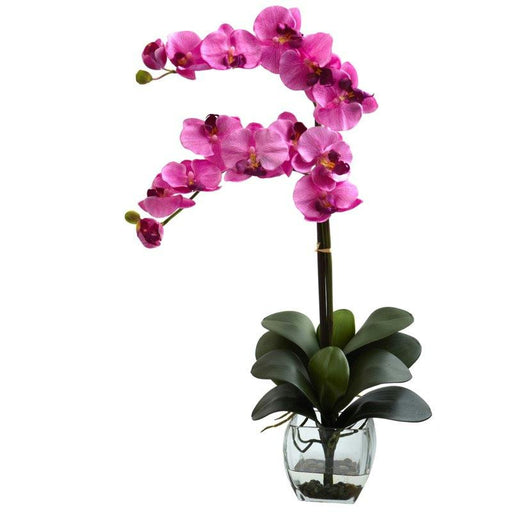 Mauve Double Phal Orchid w-Vase Arrangement