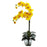 Yellow Double Phal Orchid w-Vase Arrangement