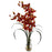 Burgundy Cymbidium Orchid w-Vase Arrangement