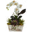 Orchid and Succulent Garden w-White Wash Planter