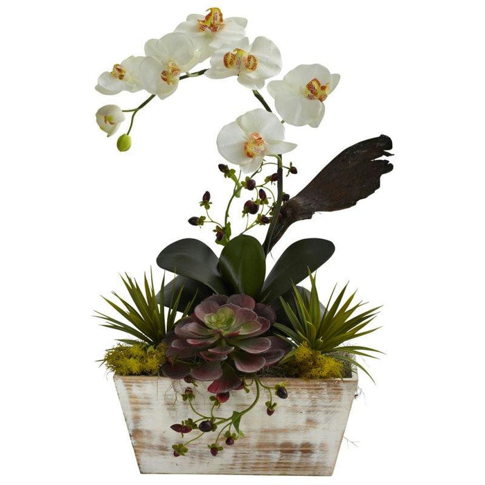 Orchid and Succulent Garden w-White Wash Planter