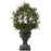 30 Inch Pond Cypress Topiary w-Urn (Indoor-OutDoor)