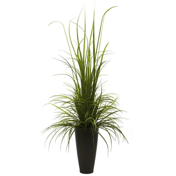 64 Inch River Grass w-Planter (Indoor-Outdoor)