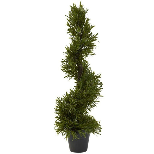 30 Inch Rosemary Spiral Tree (In-Door-Out-Door)