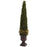 Mixed Golden Boxwood and Holly Topiary w-Urn