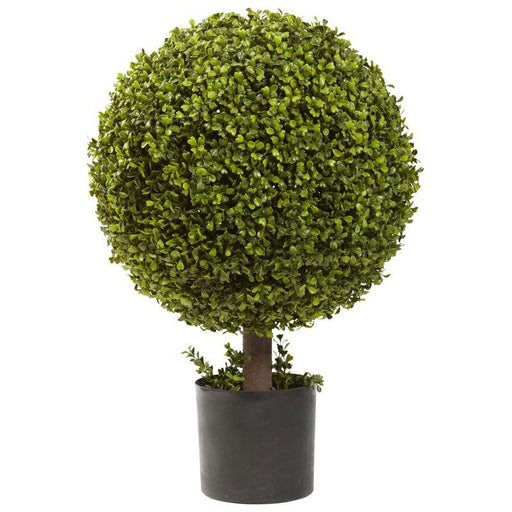 27 Inch Boxwood Ball Topiary