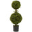 35 Inch Double Boxwood Topiary