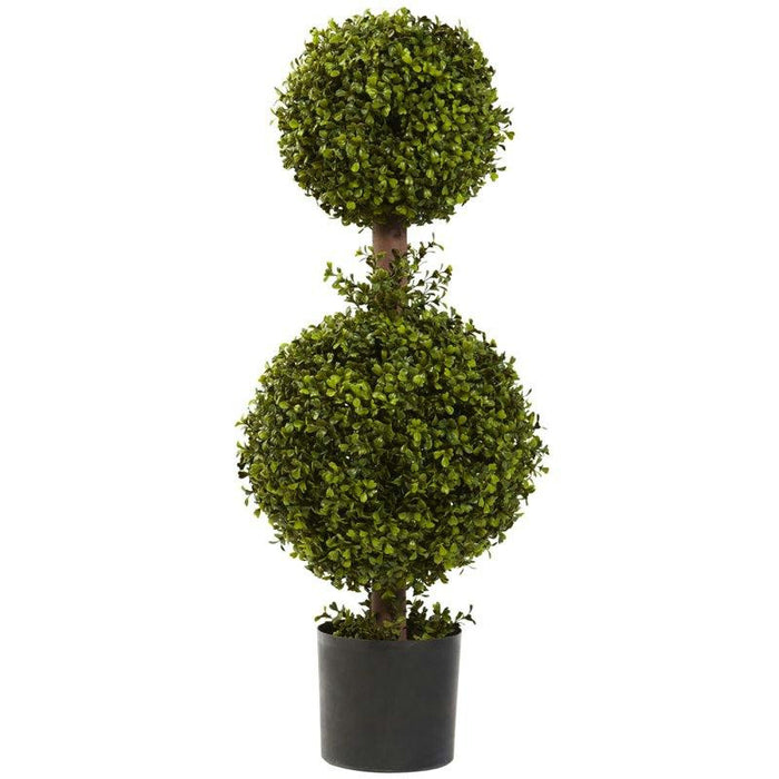 35 Inch Double Boxwood Topiary