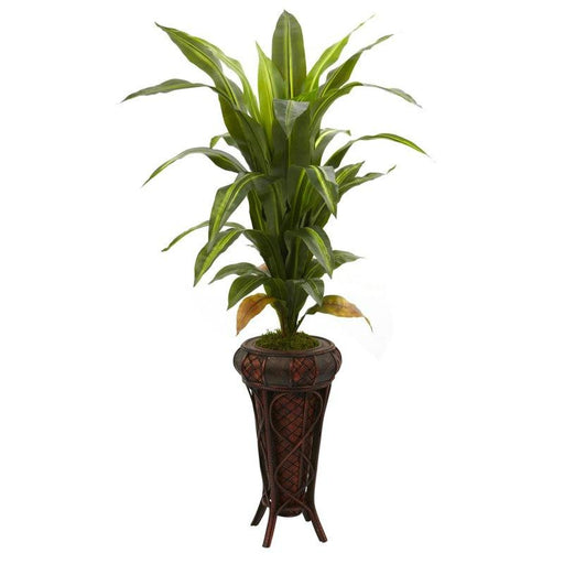 57 Inch Dracaena w-Stand Silk Plant (Real Touch)