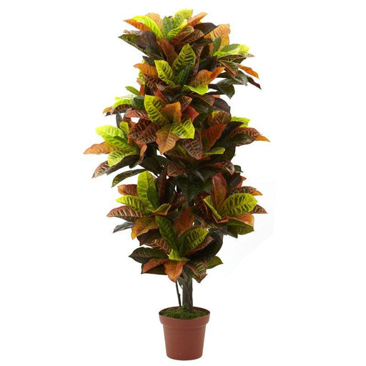 56 Inch Croton Plant (Real Touch)