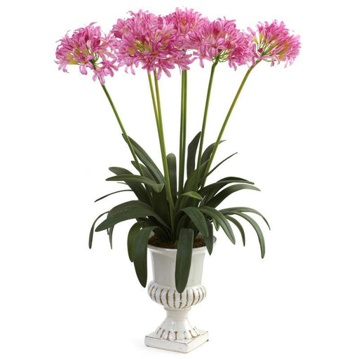 Pink African Lily w-Urn