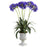 Purple African Lily w-Urn