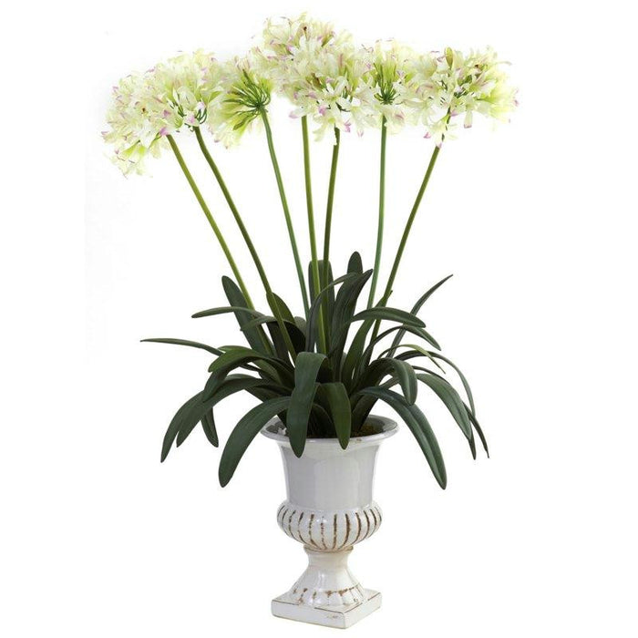 White African Lily w-Urn