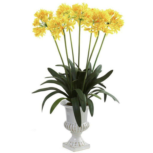 Yellow African Lily w-Urn