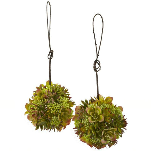 7 Inch Mixed Succulent Hanging Spheres (Set of 2)