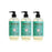 Mrs. Meyers Liquid Hand Soap - Basil - Case of 6 - 12.5 oz