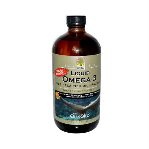 Natures Answer Liquid Omega-3 Fish Oil - 16 fl oz