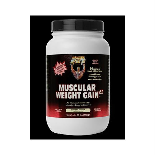 Healthy N Fit Muscular Weight Gain 2 - Vanilla - 2.5 Lb.