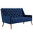 Peruse Velvet Loveseat 2462-NAV